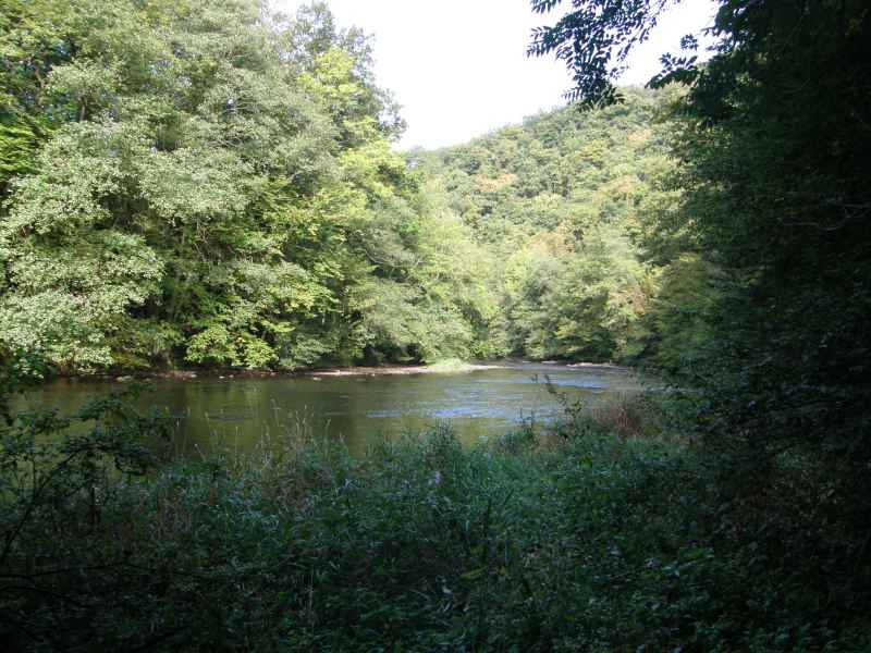 photo 3 promenade Ourthes Bois Houffalize